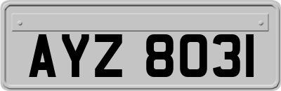 AYZ8031