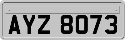AYZ8073