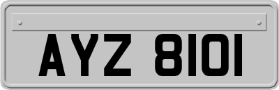 AYZ8101