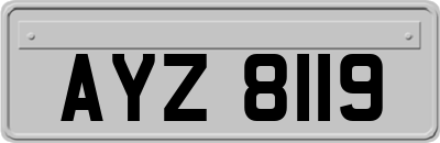 AYZ8119