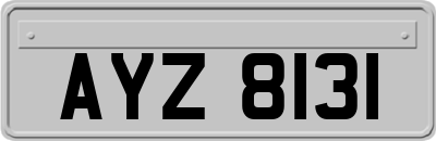 AYZ8131