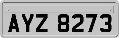 AYZ8273