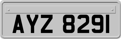 AYZ8291