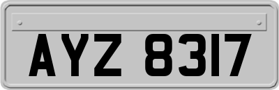 AYZ8317
