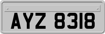 AYZ8318