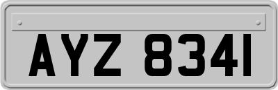 AYZ8341