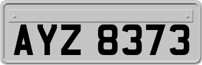 AYZ8373