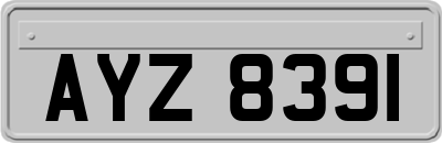 AYZ8391