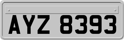 AYZ8393