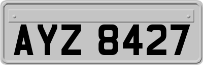 AYZ8427
