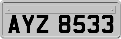 AYZ8533
