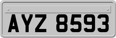 AYZ8593