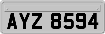 AYZ8594