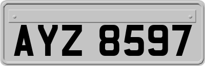 AYZ8597