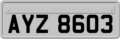 AYZ8603