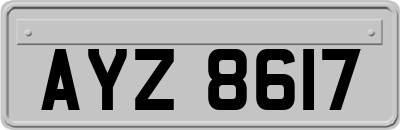 AYZ8617