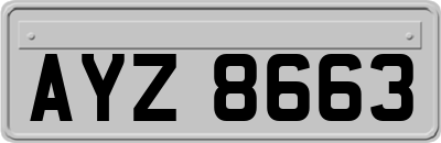 AYZ8663