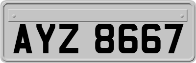 AYZ8667