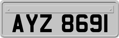 AYZ8691