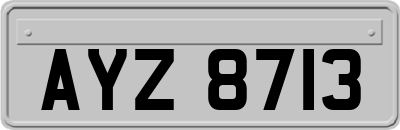 AYZ8713