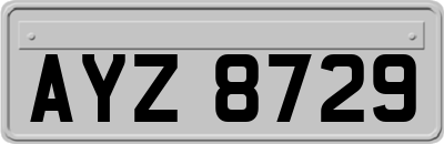 AYZ8729