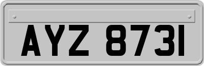 AYZ8731
