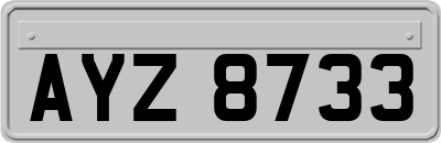 AYZ8733