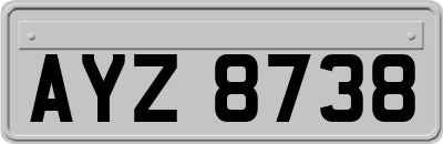 AYZ8738
