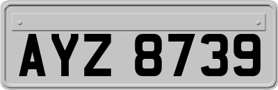 AYZ8739