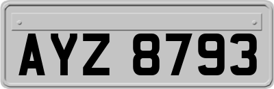 AYZ8793