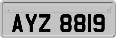 AYZ8819
