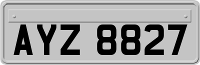 AYZ8827