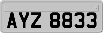 AYZ8833