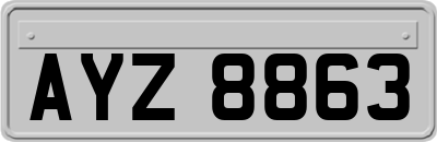 AYZ8863