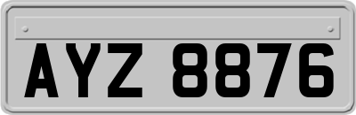 AYZ8876