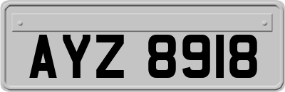 AYZ8918