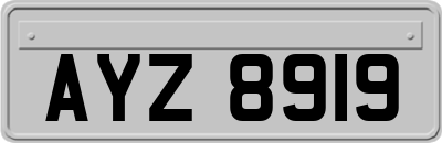 AYZ8919