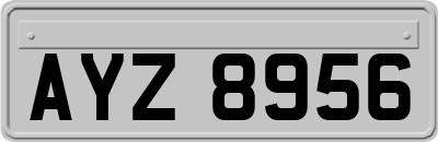 AYZ8956
