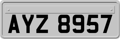 AYZ8957