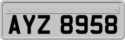 AYZ8958