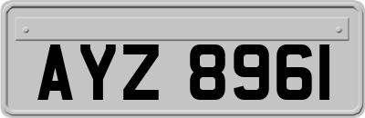 AYZ8961