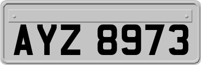 AYZ8973