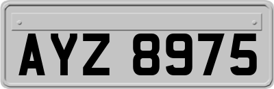 AYZ8975