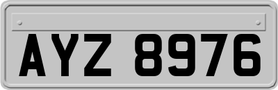 AYZ8976