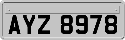 AYZ8978