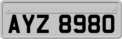 AYZ8980