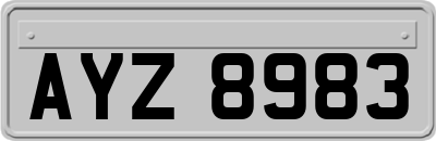 AYZ8983