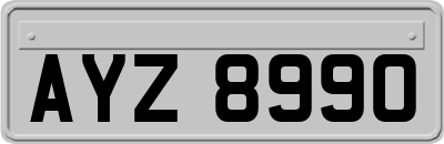 AYZ8990