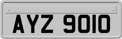AYZ9010