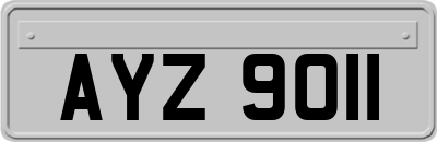 AYZ9011